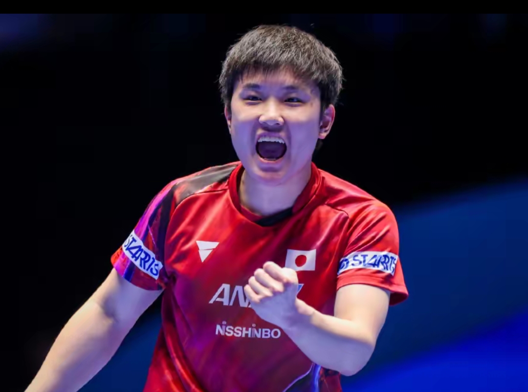 都已成為不 都已成為不