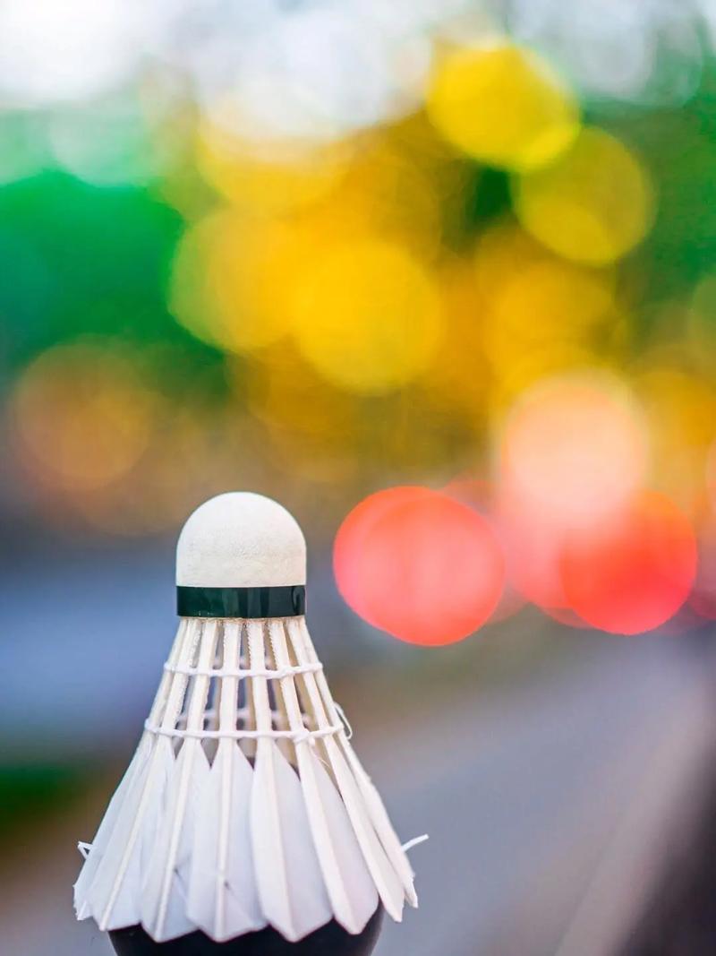 可选帮法 可选帮法